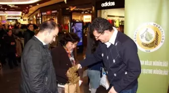 Yeni Yıla Fidan Keserek Değil, Fidan Dikerek Girelim' Kampanyası