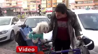 Paşa'nın Bisiklet Tutkusu
