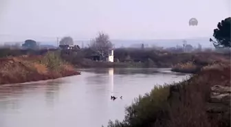 Gediz Nehri'ndeki Su Taşkını