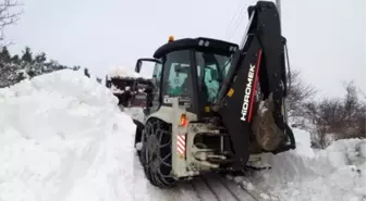 Kırkağaç'ta Kar Yüzünden Sera ve Tavuk Çiftliklerinin Çatıları Çöktü