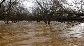 Menderes Taştı, Aydın Ovası Göle Döndü