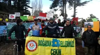 Antalya'da 500 Kişilik 'Sedir Ağacına Dokunma' Eylemi