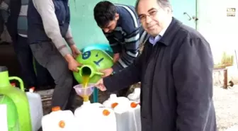 Yağ Fiyatları Zeytin Üreticisinin Yüzünü Güldürdü