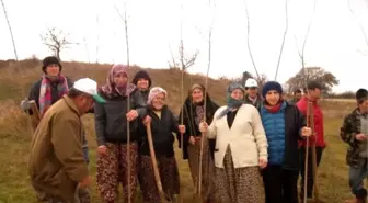 Malkara'da 500 Fidan Toprakla Buluştu