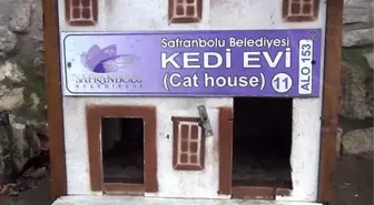 Safranbolu'nda Kediler İçin Özel Barınak