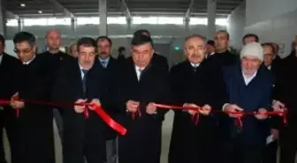 Zeytin Sevgisi Türkiye'nin En Modern Kompleksini Yaptırdı