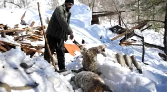 Kadri Albayrak'ın Hayatı Böyle Kurtuldu
