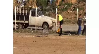 Sahaya Giren Köpek, Maçın Durmasına Neden Oldu