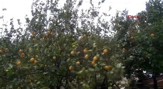 Antalya'da Fırtına ve Yağmur Yaşamı Felç Etti