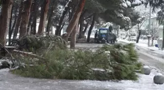 Kula ve Sarıgöl'de Kar Yağışı