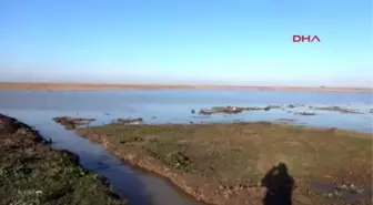 Samsun 7 Kişiye Mezar Olan Göl Bölge Halkının Geçim Kaynağı