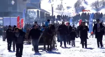 Bursa Uludağ'da Düzenlenen Atlı Kızak Yarışmasında Atlar Karlara Böyle Saplandı