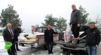 Kargı'da Kuşlar İçin Doğaya Yem Bırakıldı