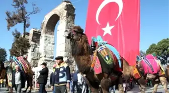 Selçuk'ta Deve Güreşleri Festivali Coşkusu Başladı