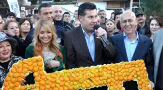 Bodrum'da Mandalina Şenliği Coşkusu