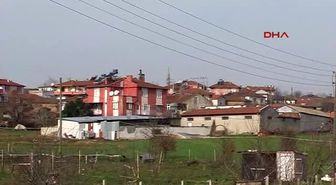 Balıkesir - Ak Partili Babuşcu Şimdi de Osmanlı Lalesi ile Gündemde