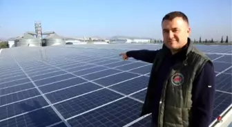 Fabrika Elektriğini Güneş Enerjisinden Sağlıyor