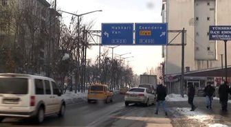 İtlaf Kararı Verilen Katırların Sınır Dışına Kaçtığı İddiası