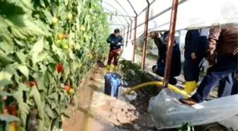 Kumluca'daki Su Baskını ve Hortumun Bilançosu Belli Oldu