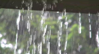 Scientists Explain Where That After-Rain Smell Comes From