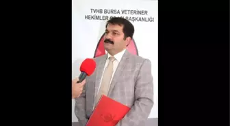 Veterinerlerden At Eti Skandalına Tepki