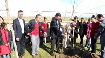 Silopi Köy Okulunda Fidan Dikme Şenliği