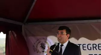 Bakan Yılmaz, Organik Zeytinyağı Tesisinin Açılışına Katıldı