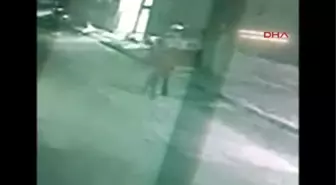 Eskişehir Polisi, Güvenlik Kamerasına Takılan Zanlıların Peşinde