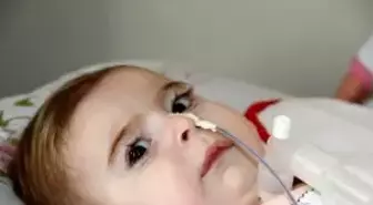 Yedaş'tan Ece Nur'a Kesintisiz Güç Kaynağı