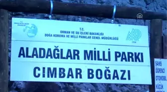 Aladağlar Milli Park Alanı, Kamerayla İzleniyor