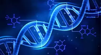 Ölüm Tarihiniz DNA'nızda Saklı