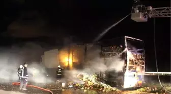 Patates Cipsi Yüklü Tır Yandı