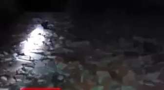 Şiddetli Fırtınaya Uykuda Yakalandılar