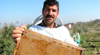 Araban'da Üretilen Organik Bala Yoğun Talep