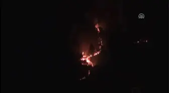Zonguldak'ta Orman Yangını