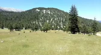Belemedik Tabiat Parkı Adana'nın Turizmini Canlandıracak