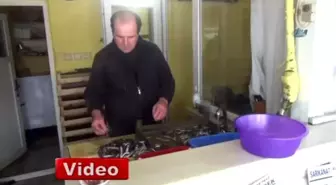 Lodos Balıkçıları Vurdu, Tezgahlar Boş Kaldı