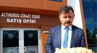 Ordu'da 'Köy Projeleri' Yaygınlaşacak