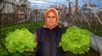 Çanakkale'de Seracıları Fırtına Vurdu