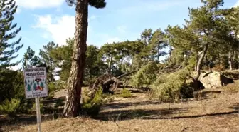 Seyitgazi'te Görülmemiş Yıkım