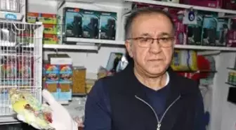 İkinci Kez Soydukları Kuşçu Dükkanındaki Papağanları Öldürdüler
