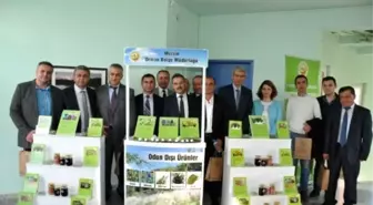 Mersin'de Geyik Elması Çalıştayı Yapıldı