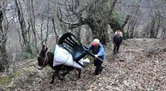 Yolu Olmayan Evlerine Eşekle Eşya Taşıyorlar