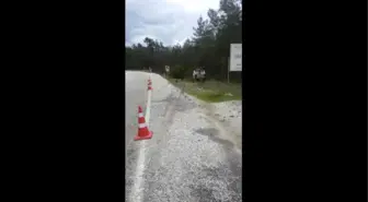 Muğla'da Takla Atan Aracın Sürücüsü Yaralandı