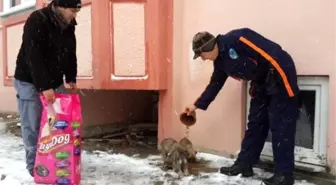 Gönen'de Sokak Hayvanları Unutulmadı