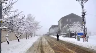 Sincik'te Kar Yağışı Etkili Olmaya Devam Ediyor