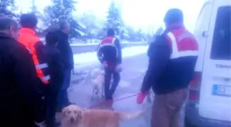 4 Gündür Kayıp Adam Köpekle Aranıyor