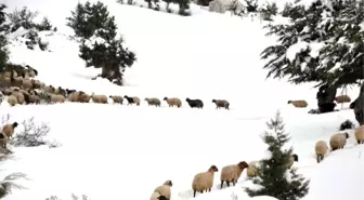 Kar Kimilerine Esaret, Kimilerine Eğlence