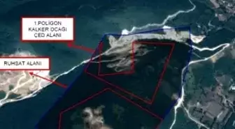 Mahkeme 192 Bin Ağacı Katledecek Taşocağına Çed Raporu Veren Bakanlıktan Savunma İstedi