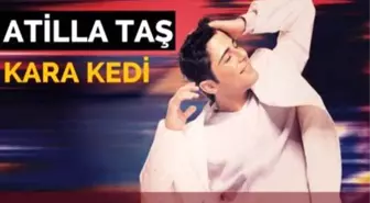 Atilla Taş - Kara Kedi